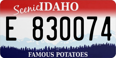 ID license plate E830074
