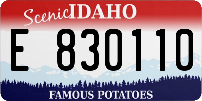 ID license plate E830110
