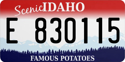ID license plate E830115