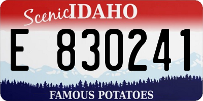 ID license plate E830241