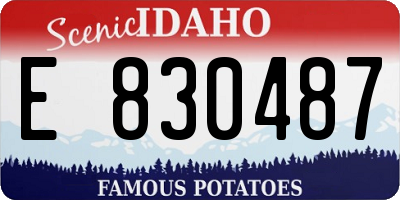 ID license plate E830487