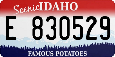 ID license plate E830529