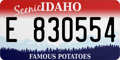 ID license plate E830554
