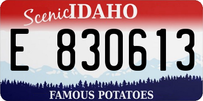 ID license plate E830613