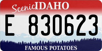 ID license plate E830623