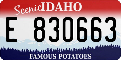 ID license plate E830663