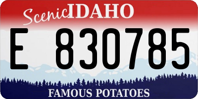 ID license plate E830785