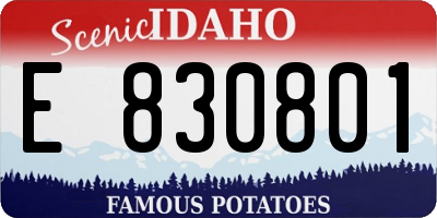 ID license plate E830801