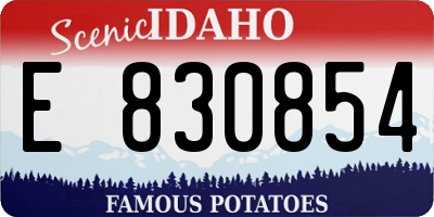 ID license plate E830854