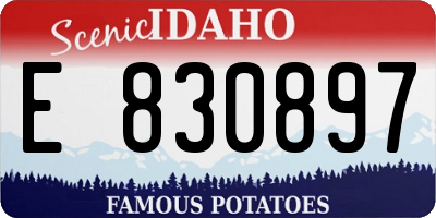 ID license plate E830897