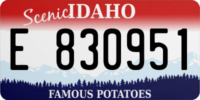 ID license plate E830951
