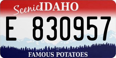 ID license plate E830957