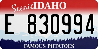 ID license plate E830994