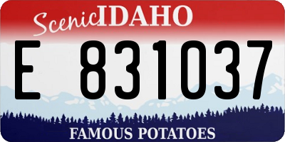ID license plate E831037