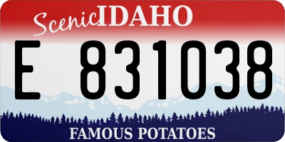 ID license plate E831038