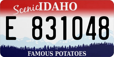 ID license plate E831048