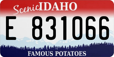 ID license plate E831066