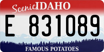 ID license plate E831089
