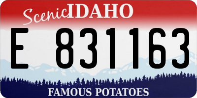 ID license plate E831163