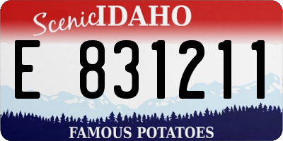 ID license plate E831211