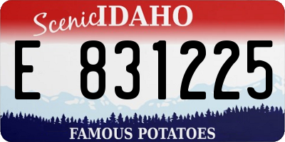 ID license plate E831225