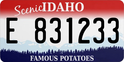 ID license plate E831233