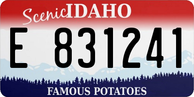 ID license plate E831241