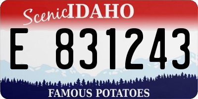 ID license plate E831243