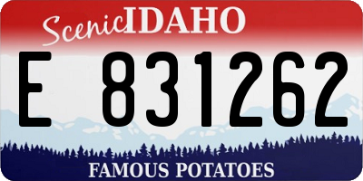 ID license plate E831262