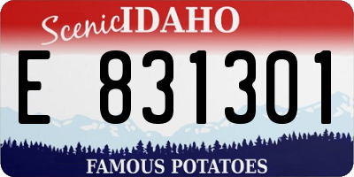 ID license plate E831301