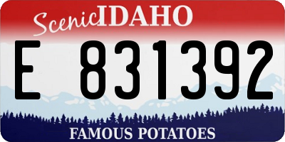 ID license plate E831392