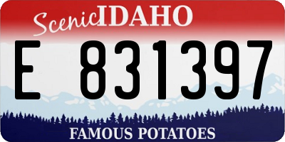 ID license plate E831397