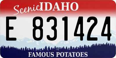 ID license plate E831424