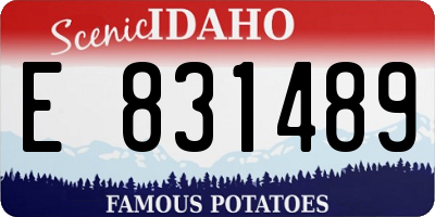 ID license plate E831489