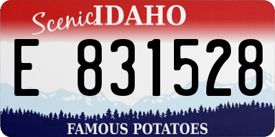 ID license plate E831528