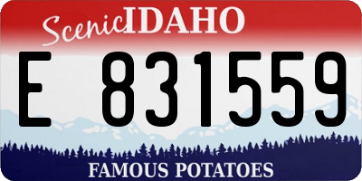 ID license plate E831559