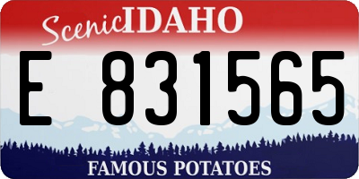 ID license plate E831565