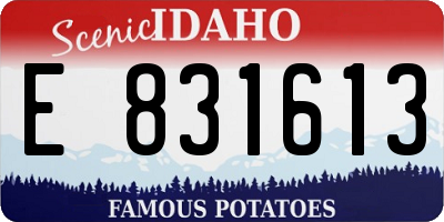 ID license plate E831613