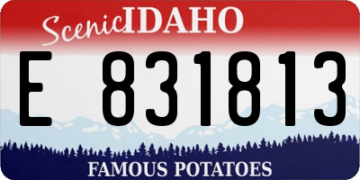 ID license plate E831813