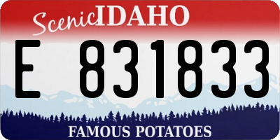 ID license plate E831833