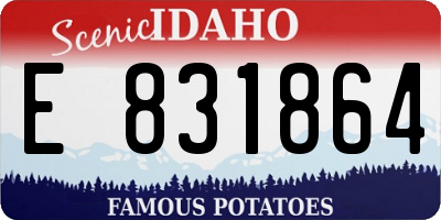ID license plate E831864