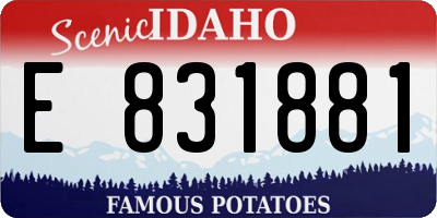 ID license plate E831881