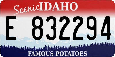 ID license plate E832294