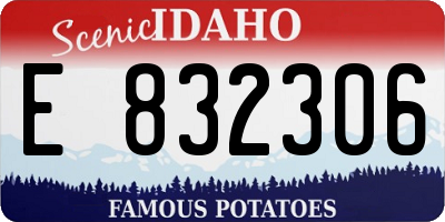ID license plate E832306