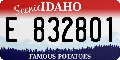 ID license plate E832801