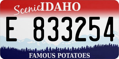 ID license plate E833254