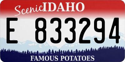 ID license plate E833294