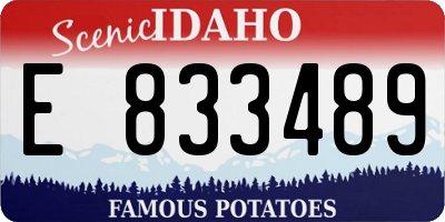 ID license plate E833489
