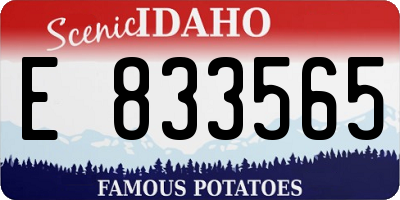 ID license plate E833565