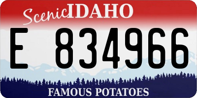 ID license plate E834966